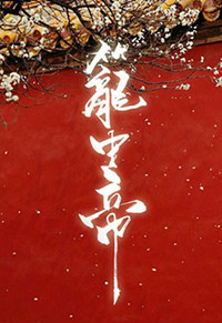 锁帝翎内容梗概